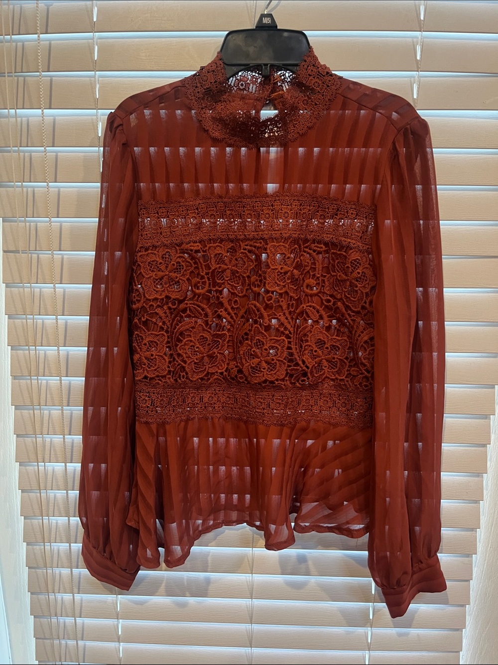 Haute Monde Rust Lace-Yoke Sheer Stripe Blouse